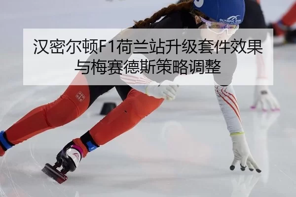 han-mi-er-dun-he-lan-zhan-sheng-ji-tao-jian-xiao-guo-yu-mei-sai-de-si-ce-lve-tiao-zheng-3-549.jpg