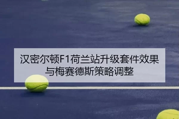 汉密尔顿F1荷兰站升级套件效果与梅赛德斯策略调整
